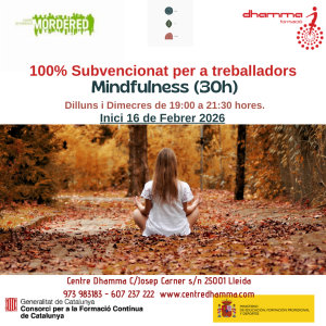 Curso Mindfulness 30h en LLeida
